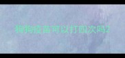 狗狗疫苗可以打四次吗