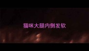 猫咪大腿内侧发软