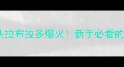 美版网红大头拉布拉多爆火新手必看的高颜值犬种全