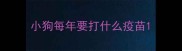 小狗每年要打什么疫苗