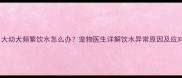两个月大幼犬频繁饮水怎么办宠物医生详解饮水异常原因及应对措施