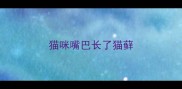 猫咪嘴巴长了猫藓