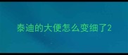泰迪的大便怎么变细了