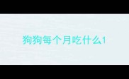 狗狗每个月吃什么
