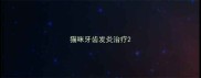 猫咪牙齿发炎治疗