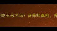 拉布拉多能吃玉米芯吗营养师真相养狗必看