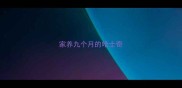 家养九个月的哈士奇