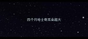四个月哈士奇耳朵超大