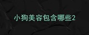 小狗美容包含哪些