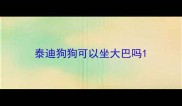 泰迪狗狗可以坐大巴吗