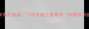 哈士奇幼犬科学养护指南12项关键注意事项附喂养训练健康全攻略
