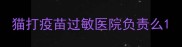 猫打疫苗过敏医院负责么