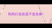 狗狗打疫苗是不是免费