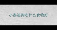 小泰迪狗吃什么食物好
