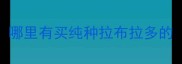 哪里有买纯种拉布拉多的