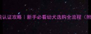 哈士奇血统认证攻略新手必看幼犬选购全流程附避坑指南