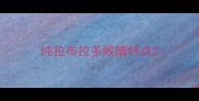 纯拉布拉多眼睛特点