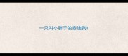 一只叫小胖子的泰迪狗