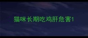 猫咪长期吃鸡肝危害