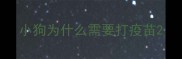 小狗为什么需要打疫苗
