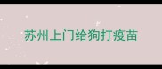 苏州上门给狗打疫苗