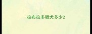 拉布拉多猎犬多少
