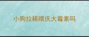 小狗拉稀喂庆大霉素吗