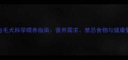 怀孕金毛犬科学喂养指南营养需求禁忌食物与健康管理全