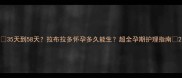 35天到58天拉布拉多怀孕多久能生超全孕期护理指南