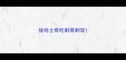 给哈士奇吃剩菜剩饭