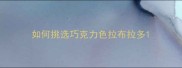 如何挑选巧克力色拉布拉多
