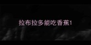 拉布拉多能吃香蕉