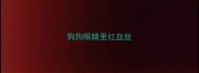 狗狗眼睛里红血丝