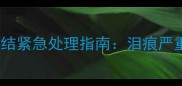 3月龄哈士奇幼犬眼屎粘结紧急处理指南泪痕严重家庭疗法与预防措施全