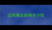 边牧看皮肤病多少钱
