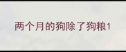 两个月的狗除了狗粮