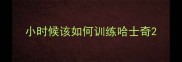 小时候该如何训练哈士奇