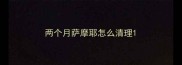两个月萨摩耶怎么清理