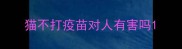 猫不打疫苗对人有害吗