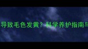 金毛犬掉毛导致毛色发黄科学养护指南与解决方案