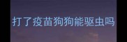 打了疫苗狗狗能驱虫吗