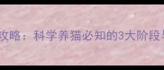 幼猫猫砂使用全攻略科学养猫必知的3大阶段与20个避坑指南