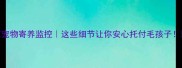 北京宠物寄养监控这些细节让你安心托付毛孩子