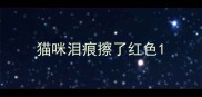 猫咪泪痕擦了红色