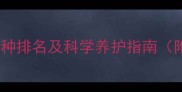 最易嫉妒的狗狗品种排名及科学养护指南附行为矫正技巧
