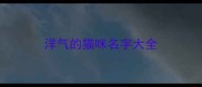 洋气的猫咪名字大全