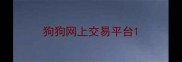 狗狗网上交易平台