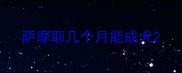 萨摩耶几个月能成犬