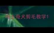 哈士奇犬剪毛教学