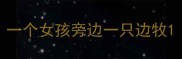 一个女孩旁边一只边牧